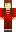 skin of a player