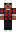skin of a player