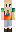 skin of a player