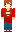 skin of a player