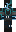 skin of a player