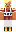 skin of a player