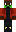 skin of a player
