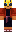 skin of a player