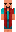 skin of a player