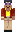 skin of a player