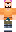 skin of a player