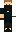 skin of a player