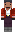 skin of a player