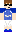 skin of a player