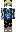 skin of a player