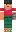 skin of a player