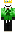 skin of a player