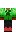 skin of a player
