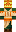 skin of a player