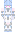skin of a player