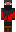 skin of a player