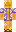 skin of a player