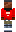 skin of a player