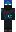 skin of a player