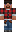 skin of a player