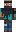 skin of a player