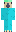 skin of a player