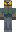 skin of a player