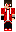 skin of a player