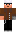 skin of a player