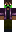skin of a player