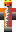 skin of a player