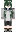 skin of a player