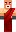 skin of a player