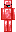 skin of a player