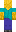 skin of a player