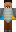 skin of a player