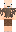 skin of a player