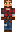 skin of a player