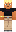 skin of a player