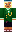 skin of a player