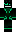 skin of a player