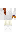 skin of a player