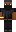 skin of a player