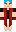 skin of a player