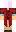 skin of a player