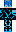 skin of a player