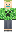 skin of a player