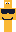 skin of a player