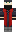 skin of a player